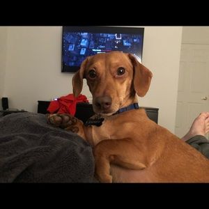 Meet your Posher, Robert